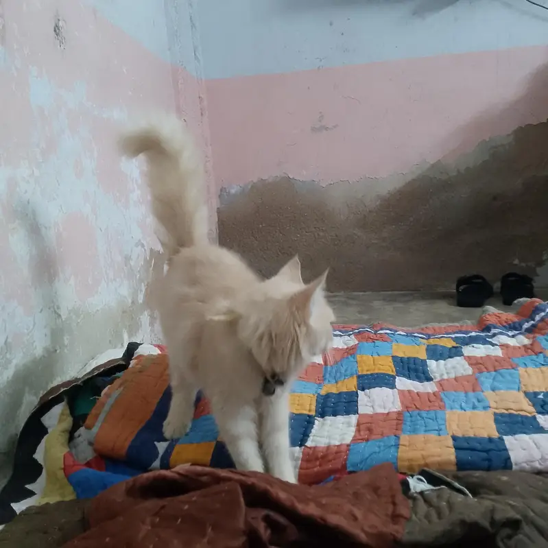 cate sale me — photo 2