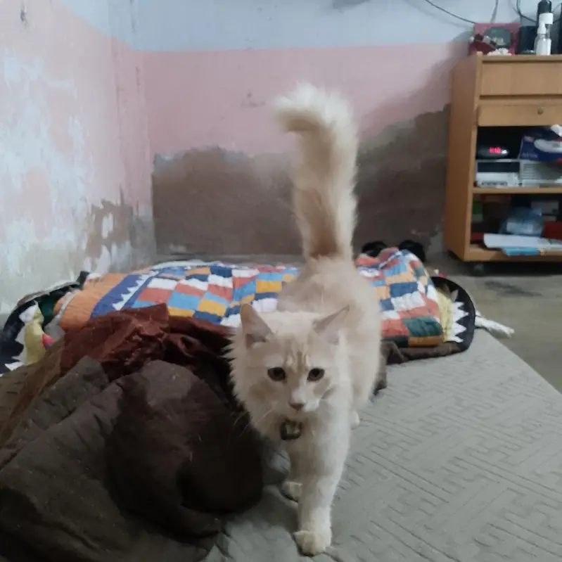 cate sale me — photo 3