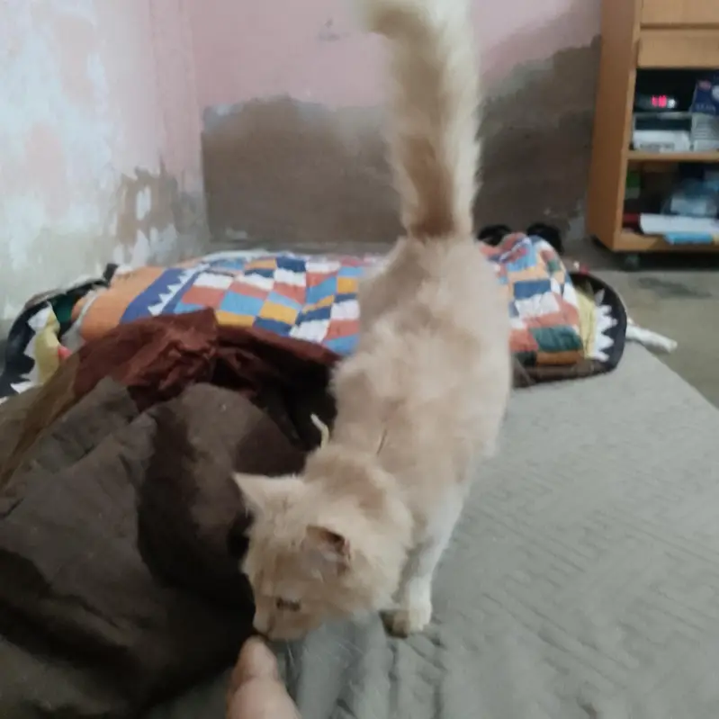 cate sale me — photo 4
