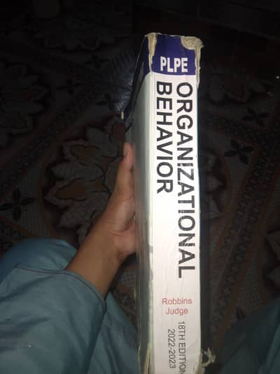 organizational Beahavior