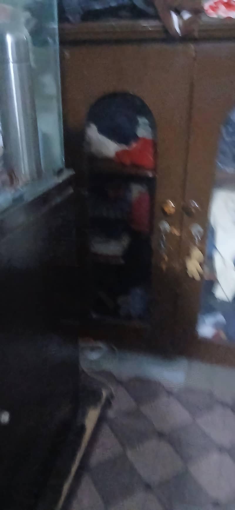 selling 2