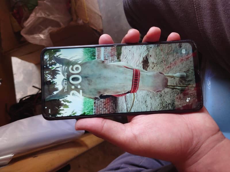 Realme C75 7