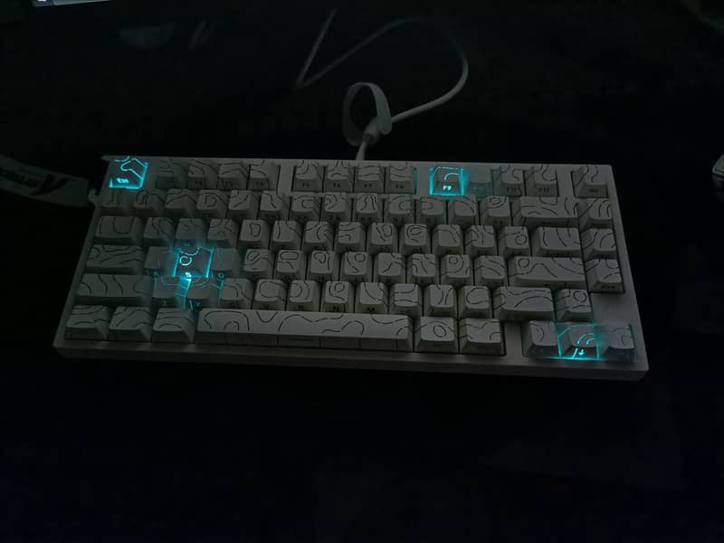 Gaming Setup with Peripherals 3