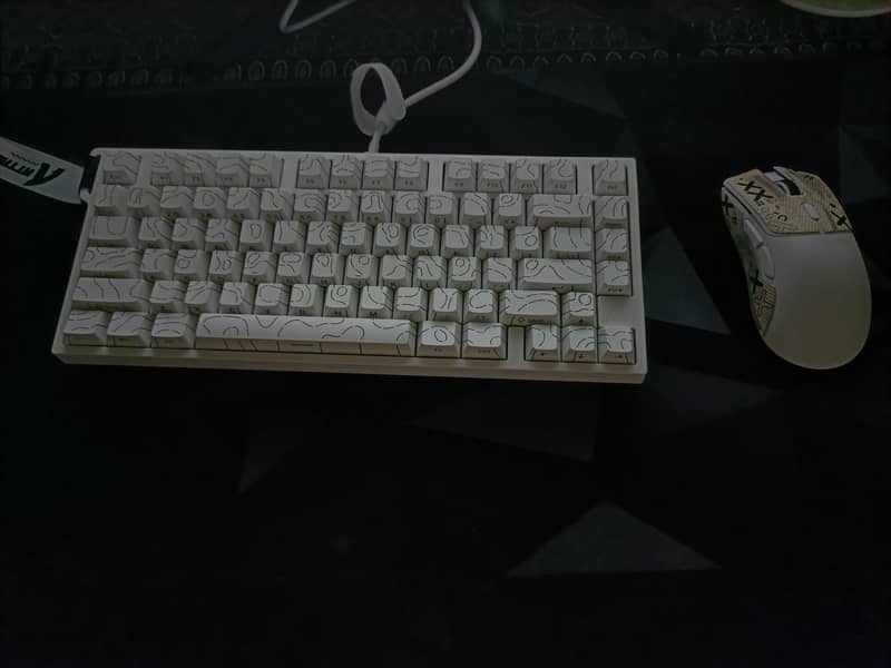 Gaming Setup with Peripherals 4