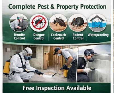 Dangue control/cockroach control/fumigation spray/Deemak control/