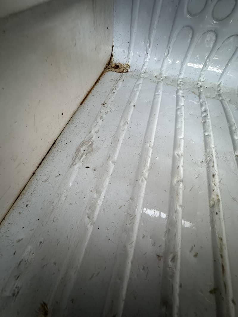Fridge 1