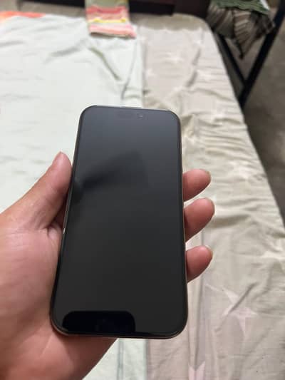 Apple iPhone 16 Pro