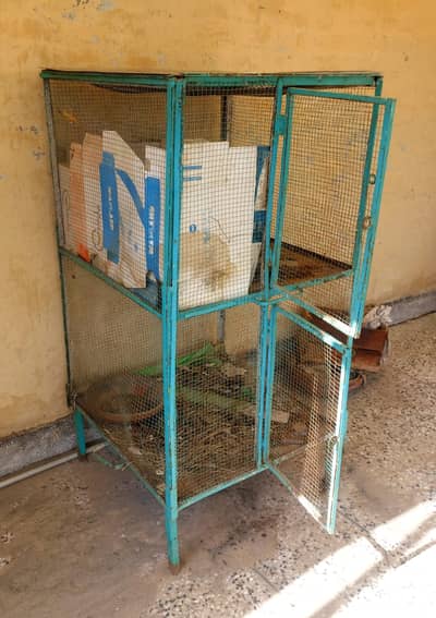 Hen Cage