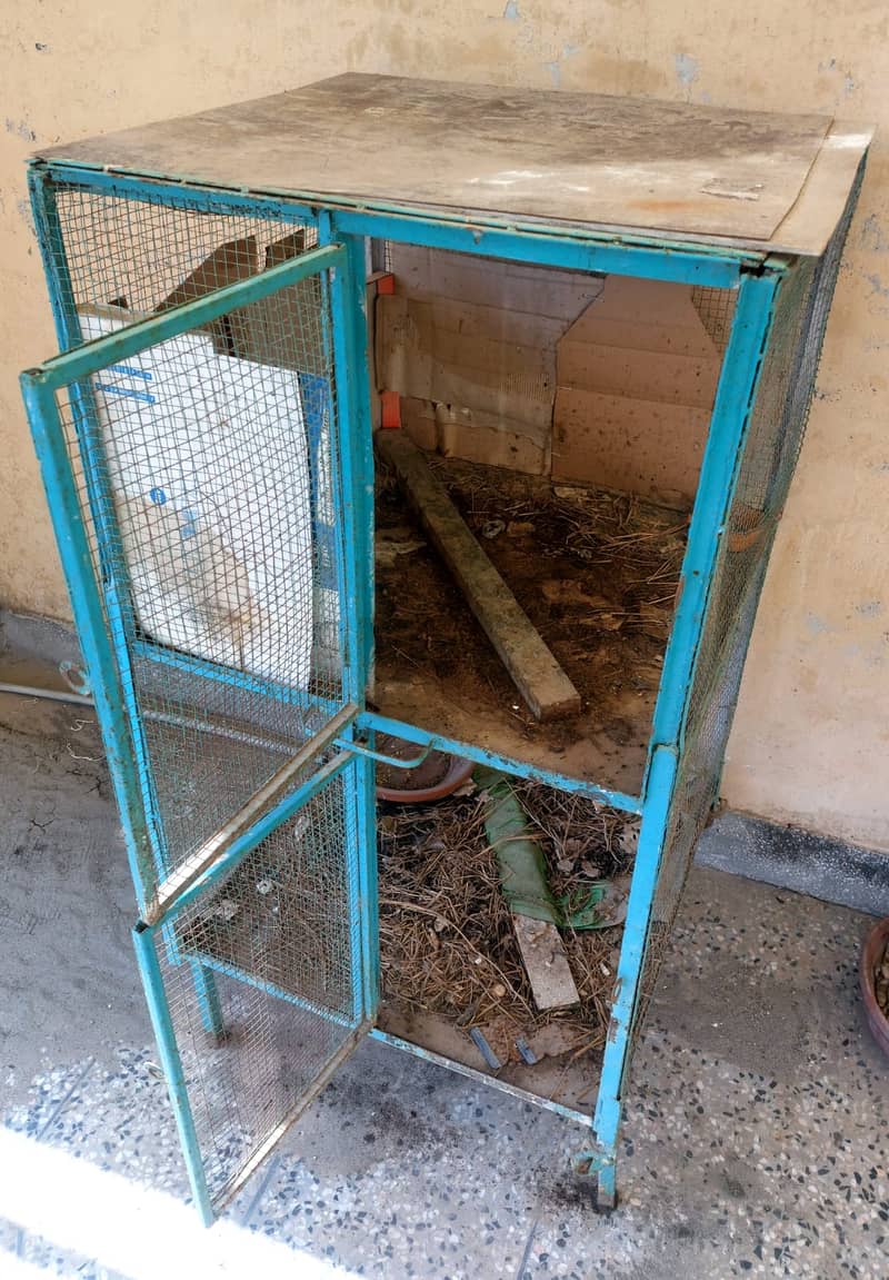 Hen Cage 1