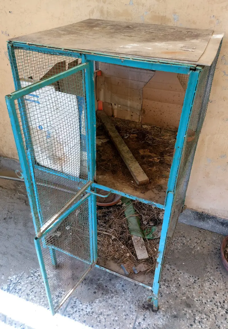 Hen Cage — photo 2