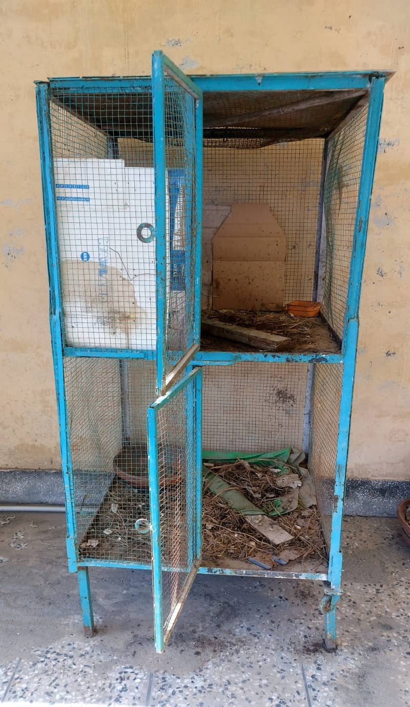 Hen Cage 3