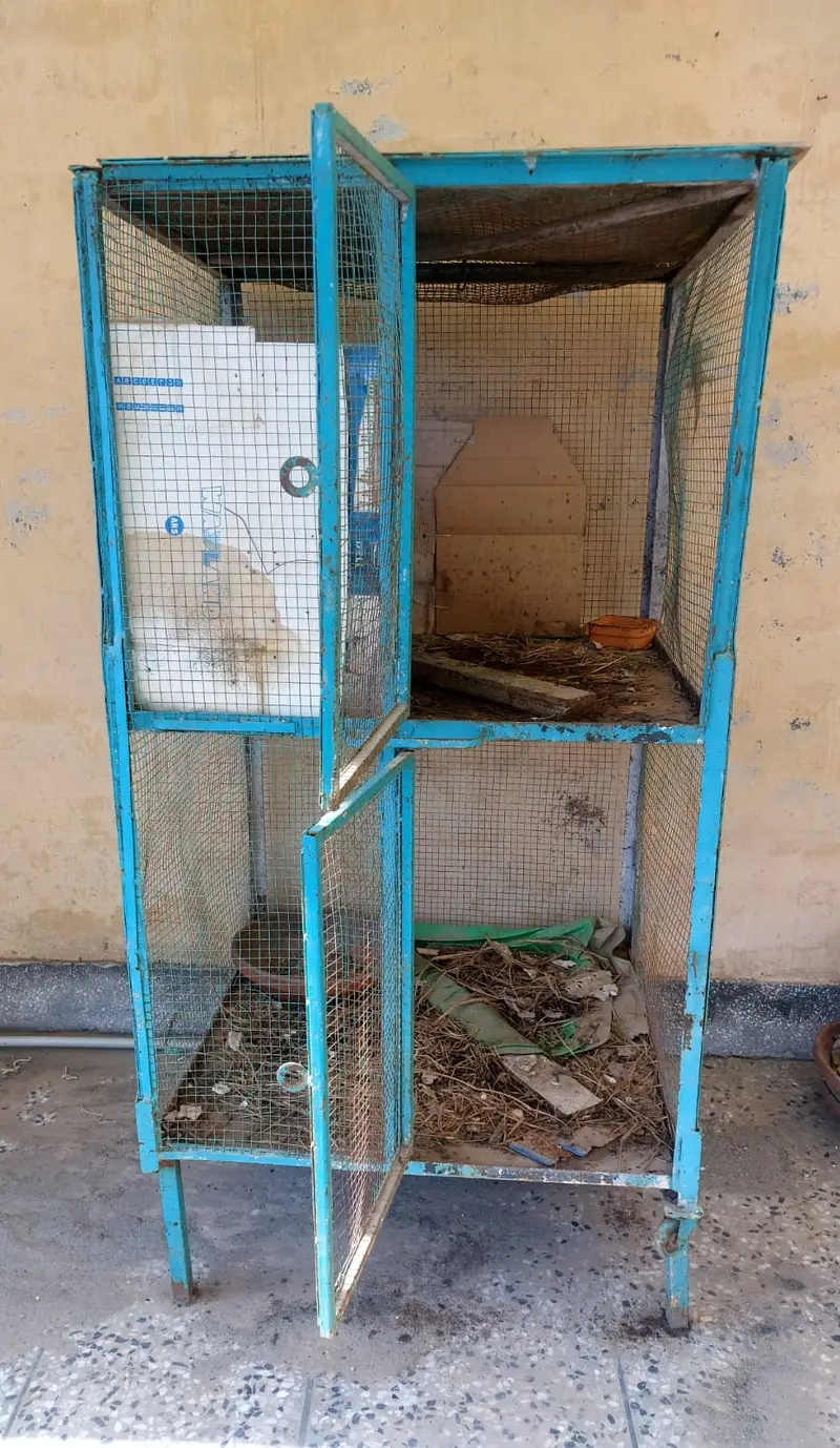 Hen Cage — photo 4