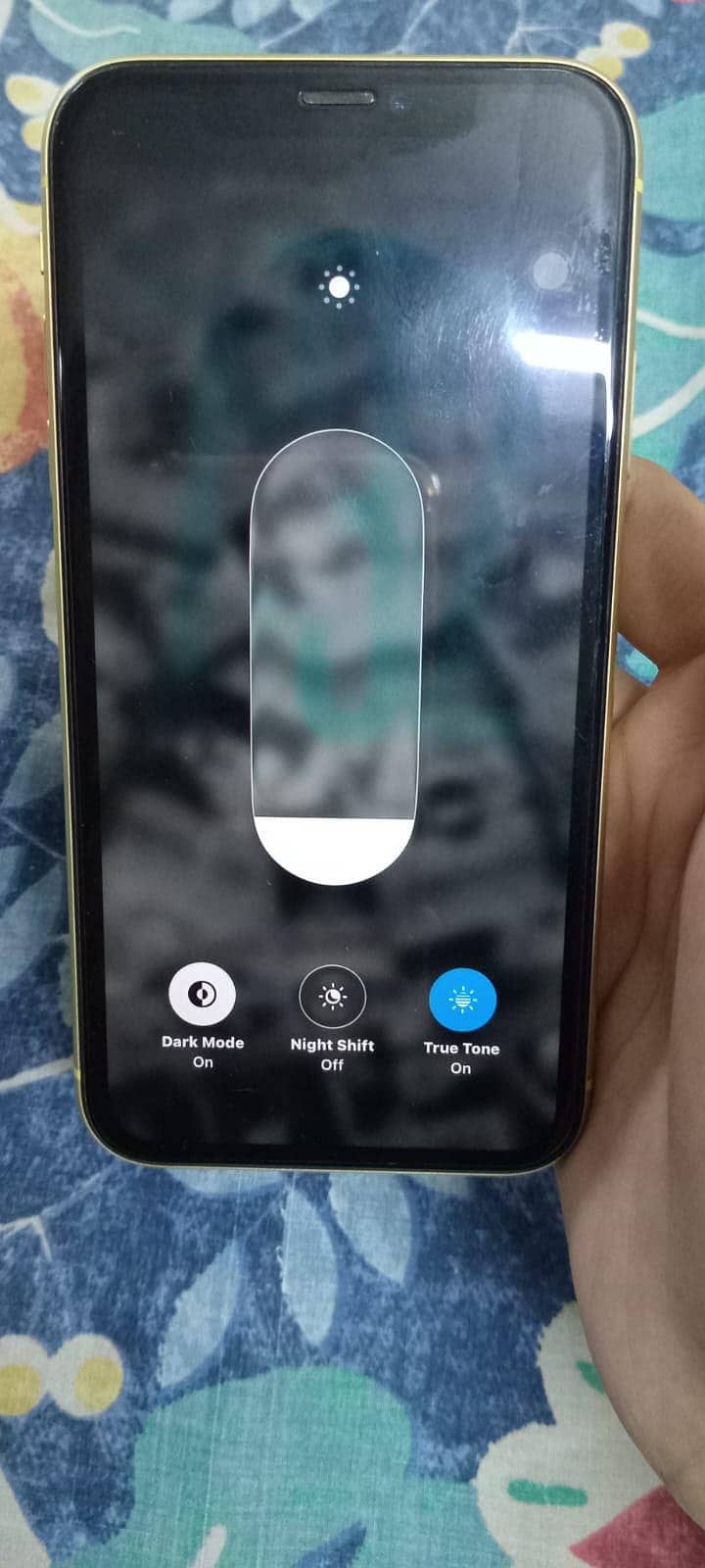 Apple iPhone 11 1