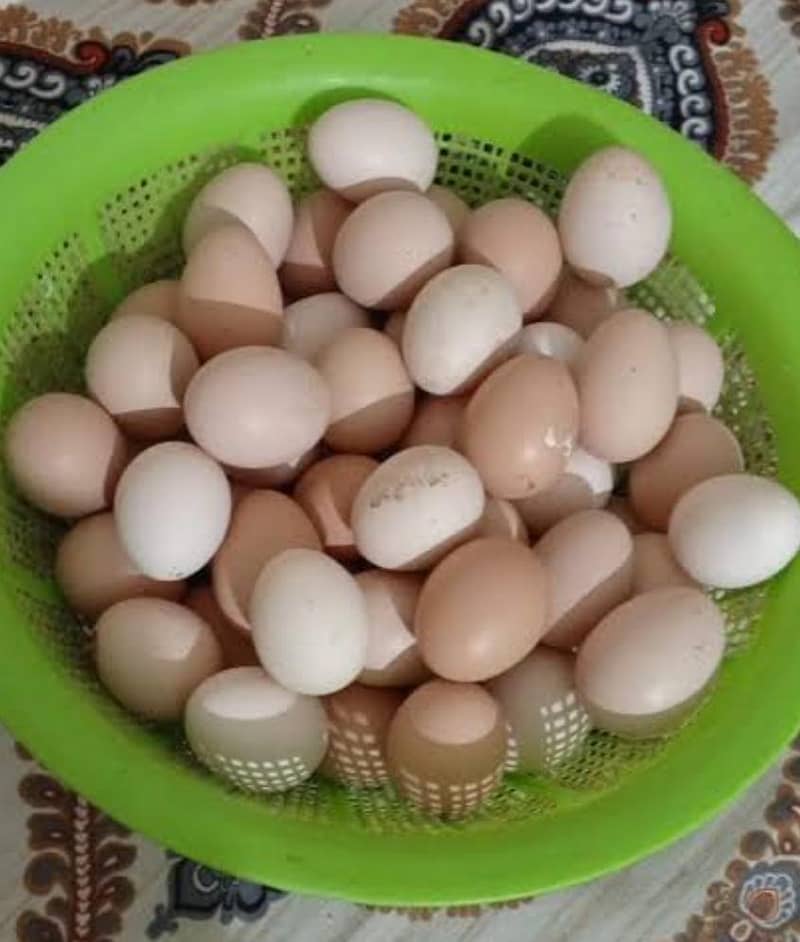 Desi Eggs 1