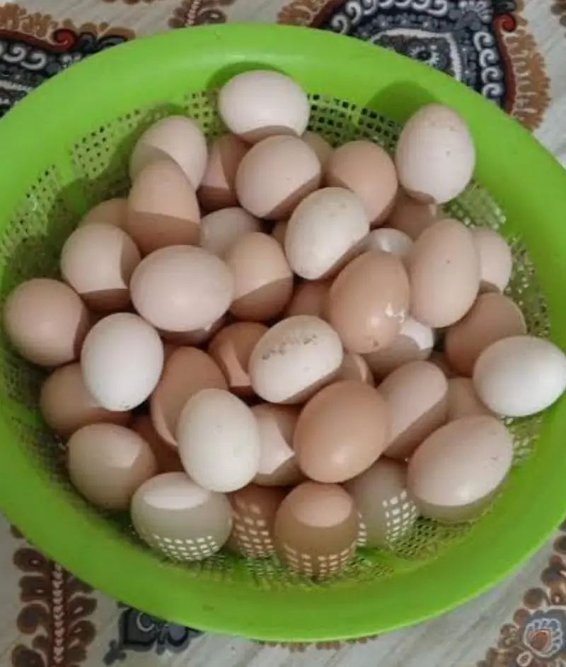 Desi Eggs — photo 2