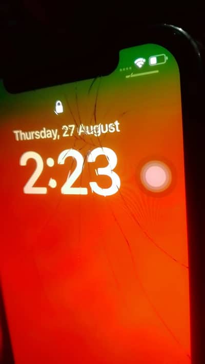 Apple iPhone X