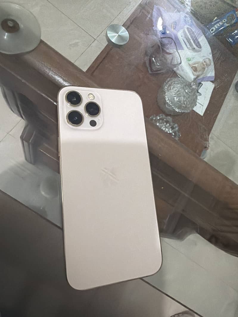 Apple iPhone 12 Pro Max 1