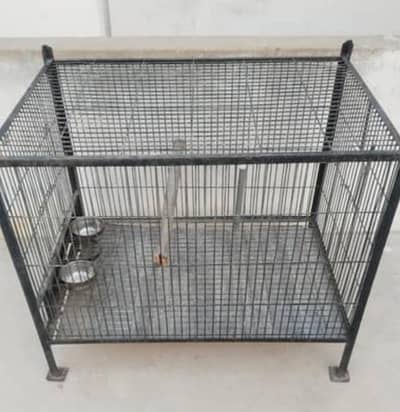 Raw parrot and Grey parrot  3 Cage  with L size Box