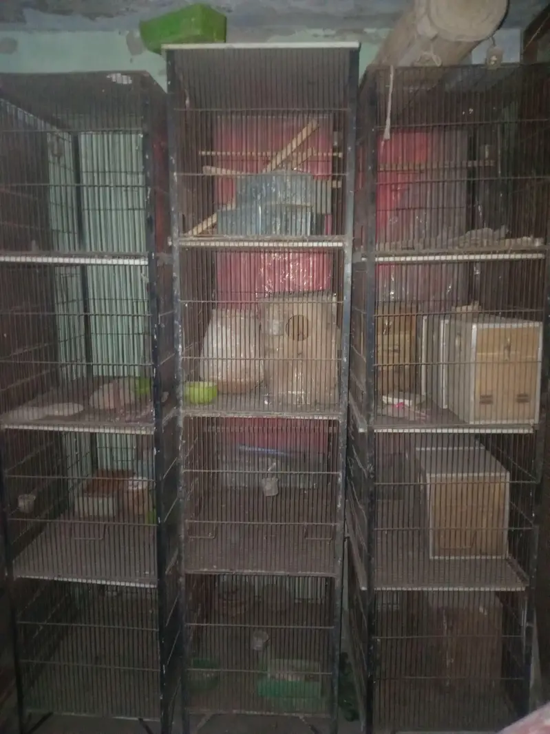 cage for sale — photo 3