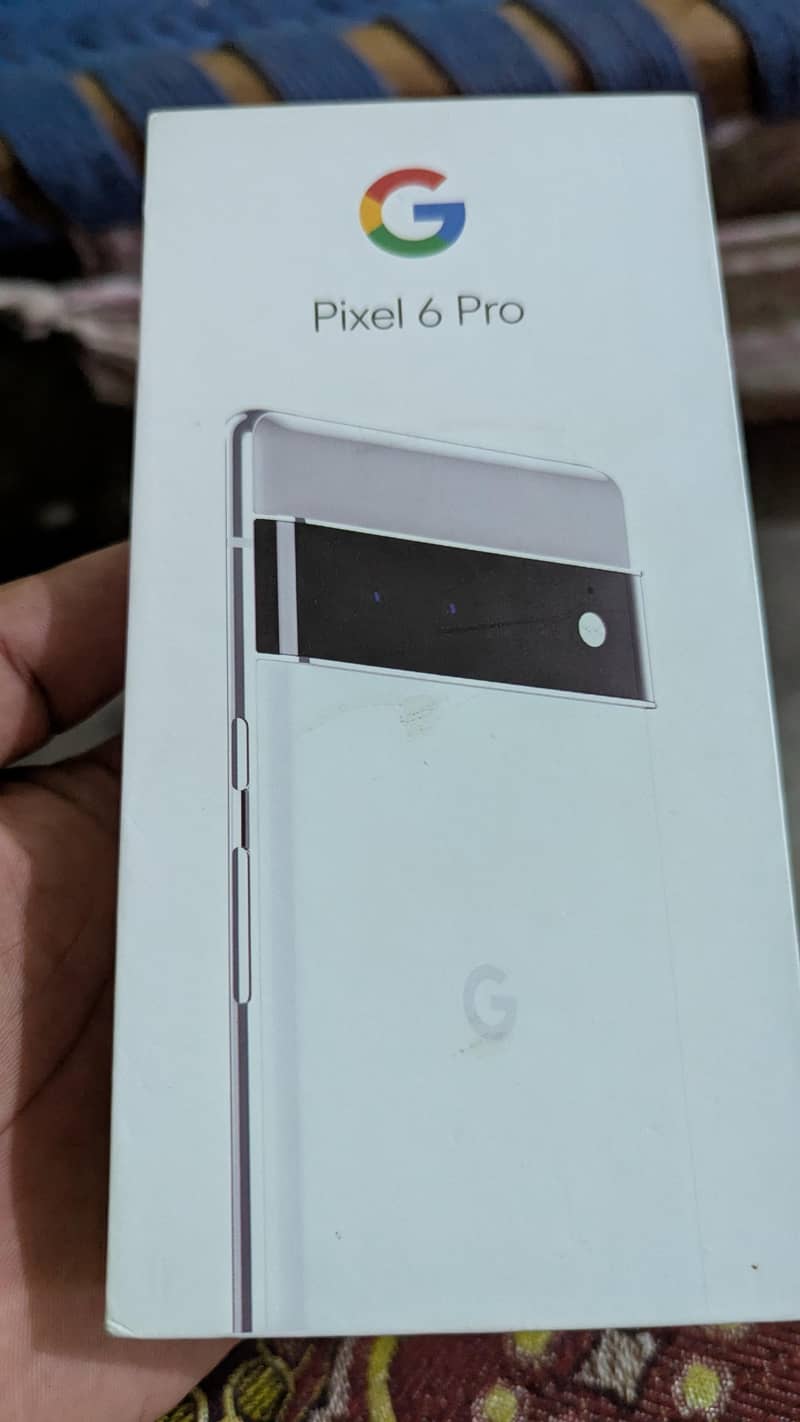 Google Pixel 6 Pro 1