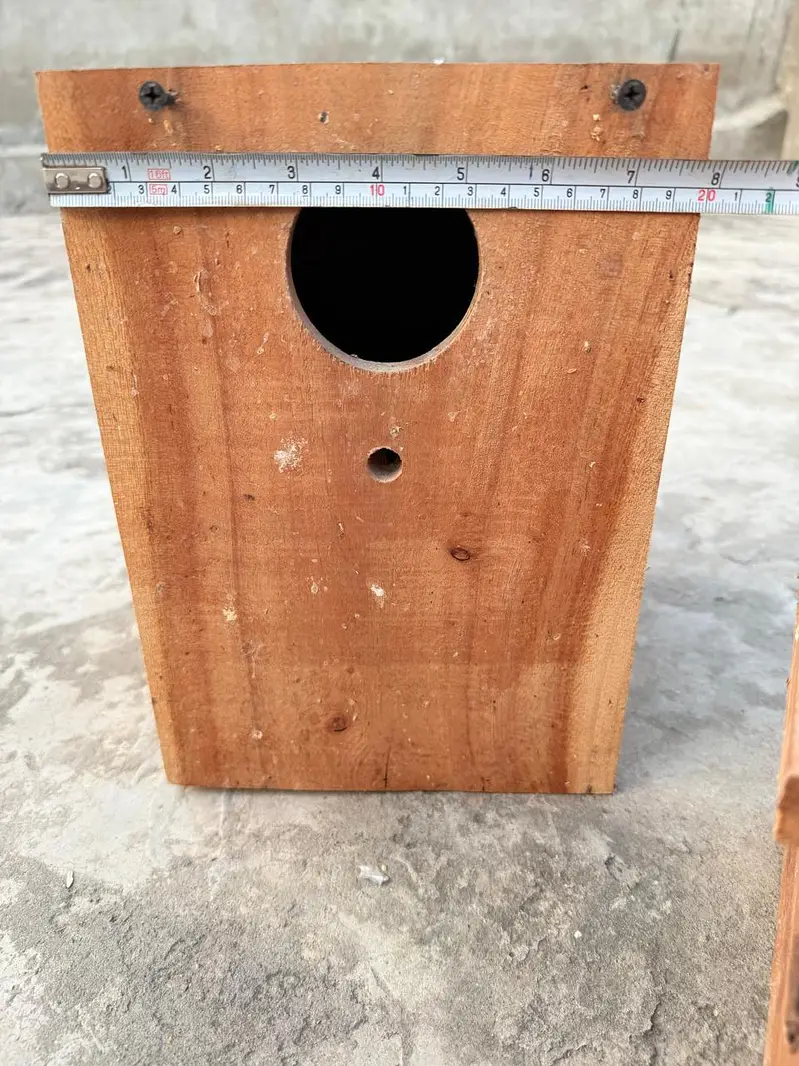 Breeding Box — photo 2