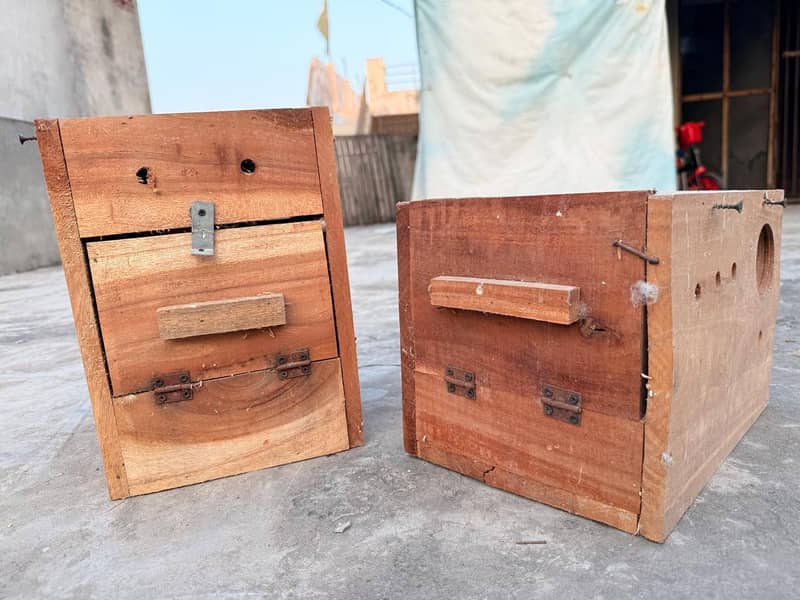 Breeding Box 4