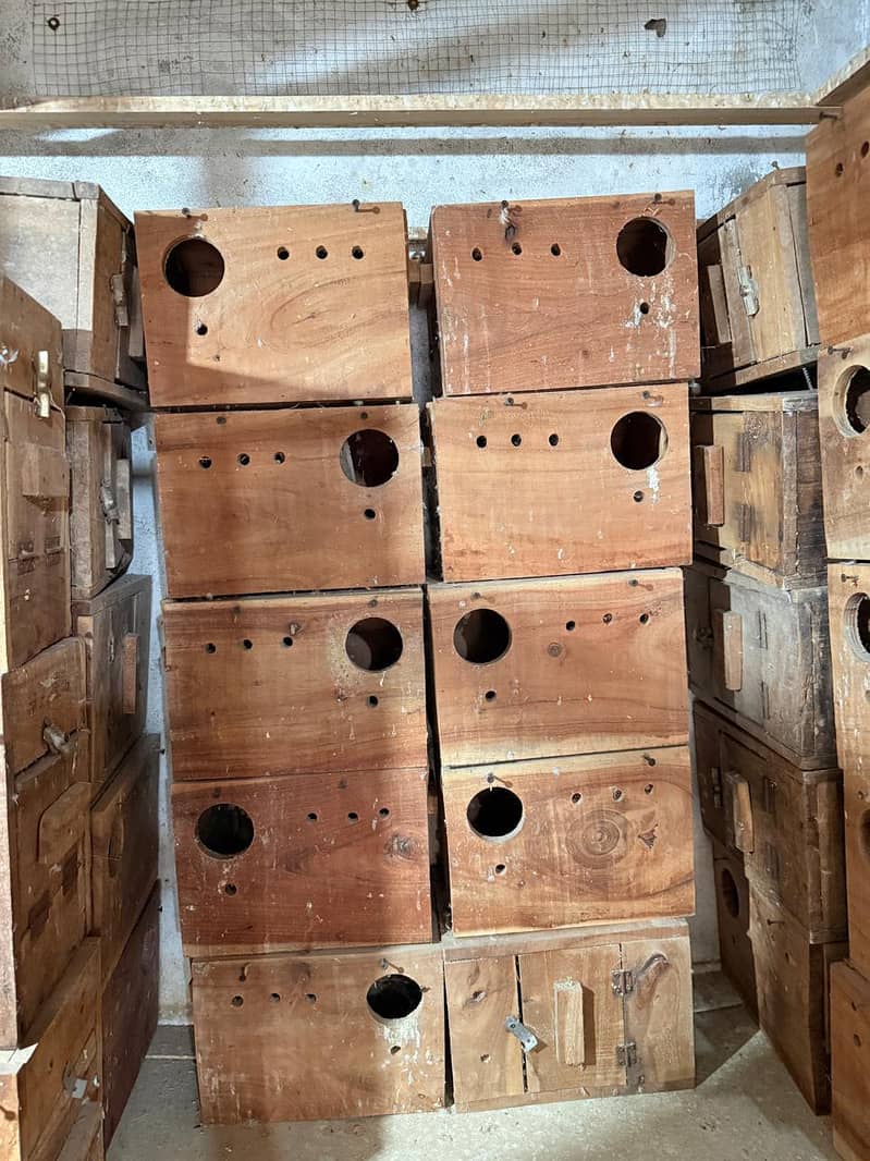 Breeding Box 5