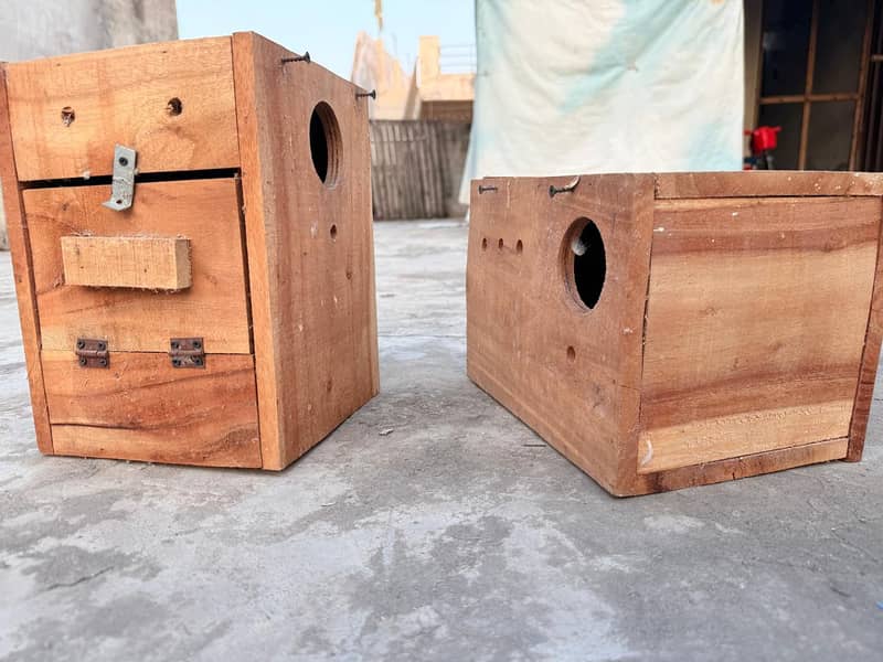 Breeding Box 6