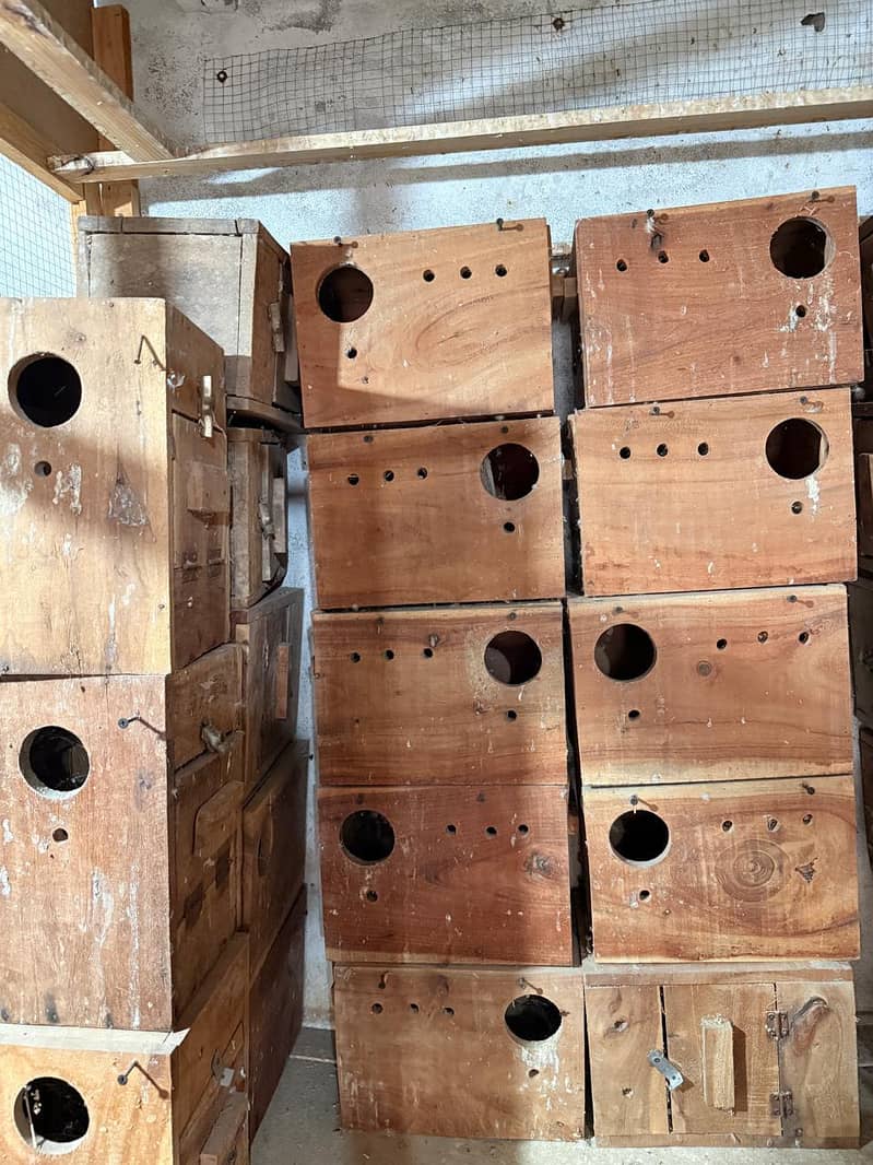 Breeding Box 7