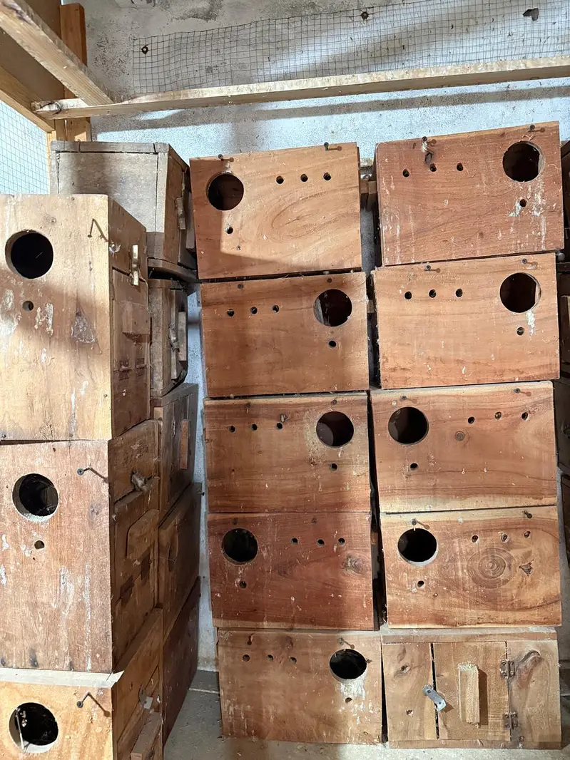 Breeding Box — photo 8