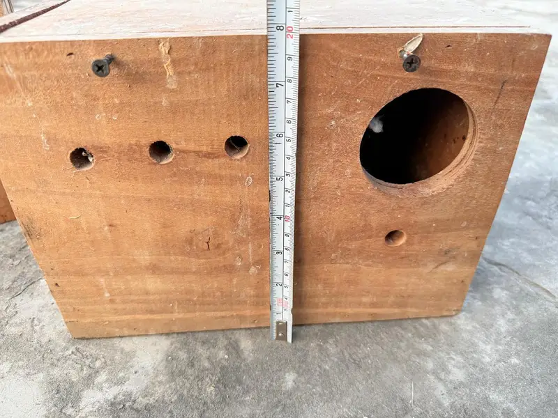 Breeding Box — photo 9