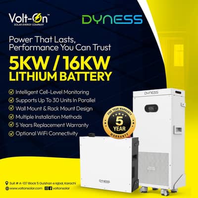DYNESS LITHIUM ION BATTERY