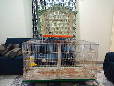 2 USED Bird Cages for Sale – Big + Small, Spacious & Practical
