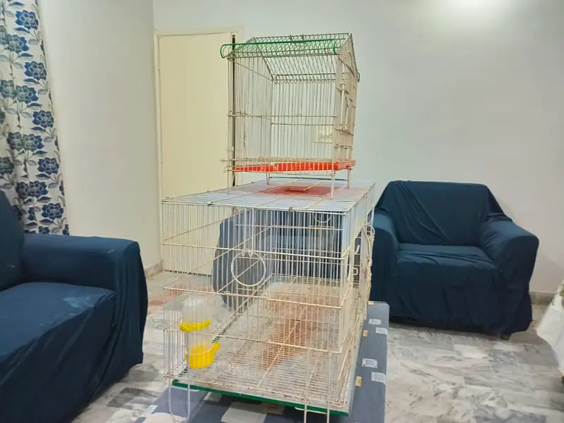 2 USED Bird Cages for Sale – Big + Small, Spacious & Practical — photo 2