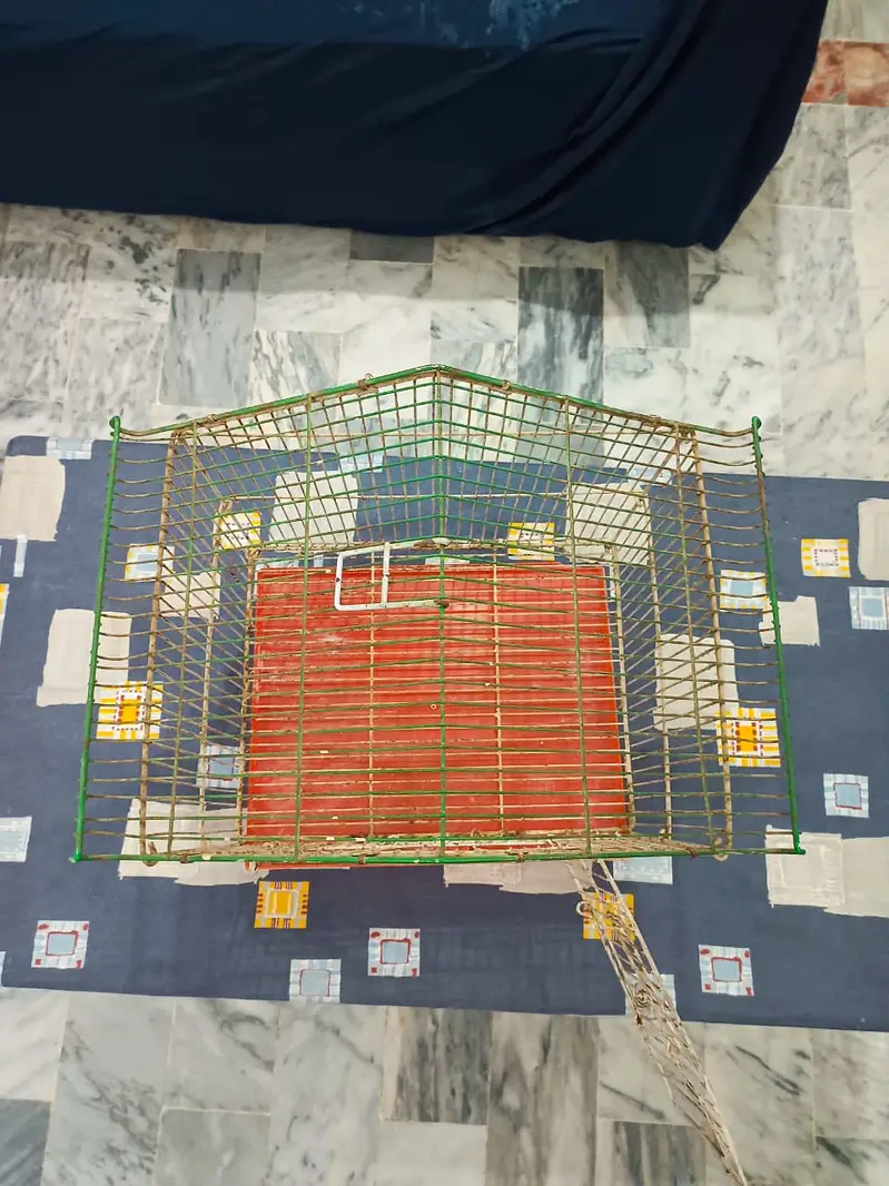 2 USED Bird Cages for Sale – Big + Small, Spacious & Practical — photo 4