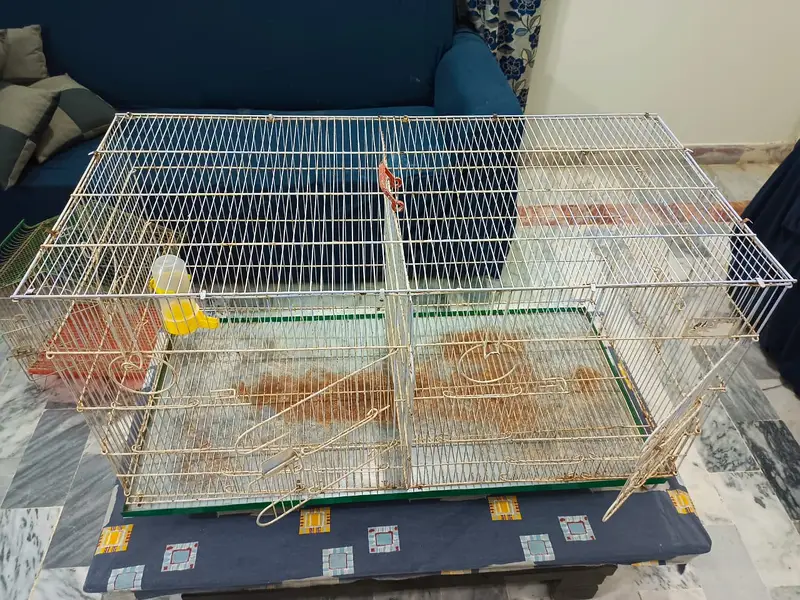 2 USED Bird Cages for Sale – Big + Small, Spacious & Practical — photo 9