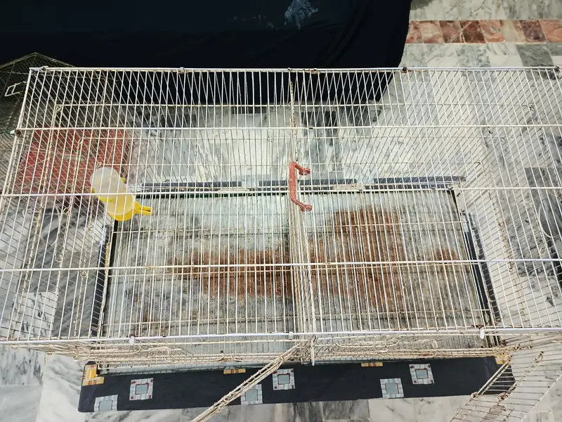 2 USED Bird Cages for Sale – Big + Small, Spacious & Practical — photo 10