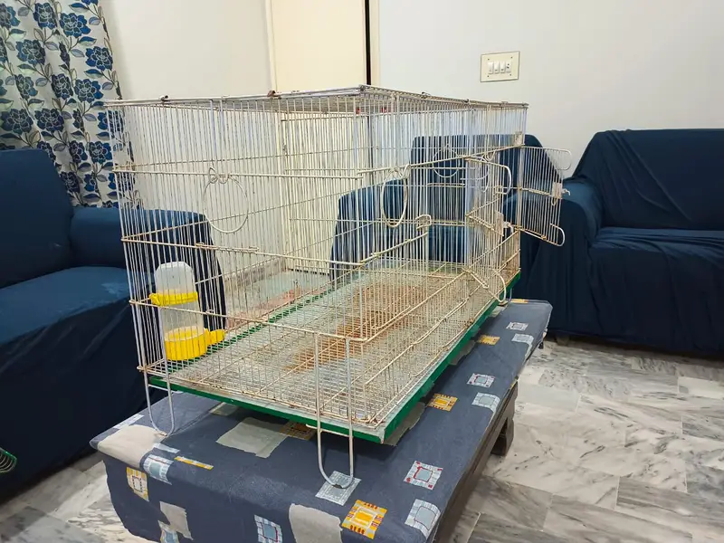 2 USED Bird Cages for Sale – Big + Small, Spacious & Practical — photo 11