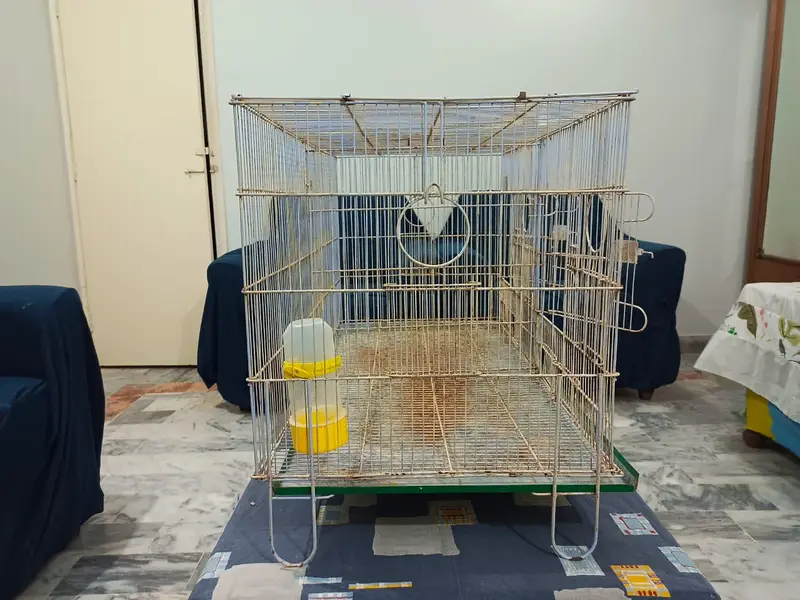 2 USED Bird Cages for Sale – Big + Small, Spacious & Practical — photo 12