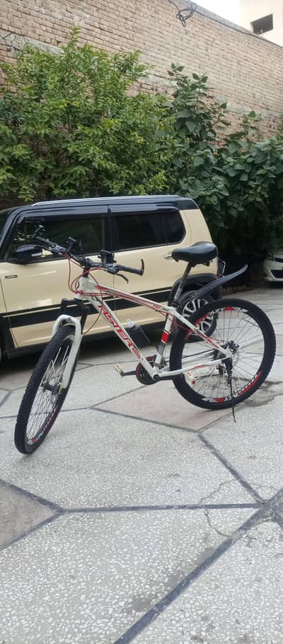 road runner bicycle