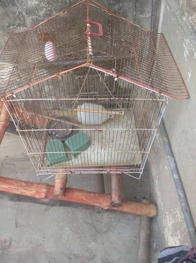 cage 4/4