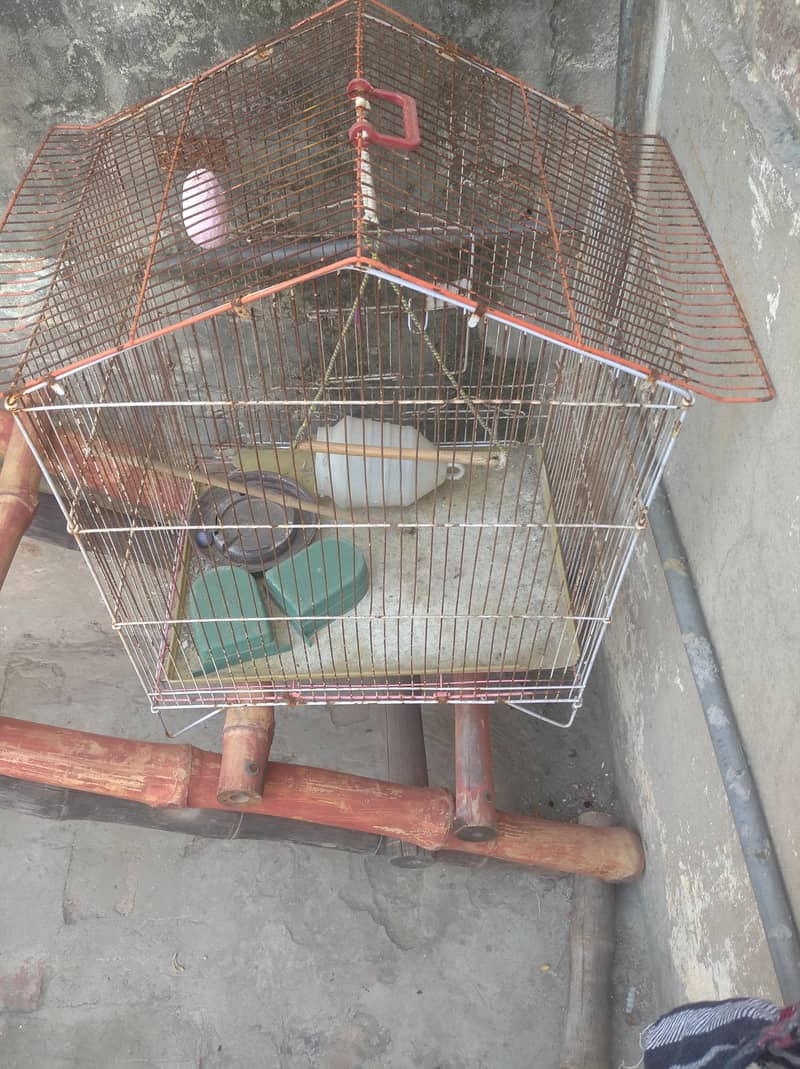 cage 4/4 0