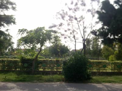 Centrally Located Facing Park Residential Plot In Paragon City - Orchard Block Is Available For sale