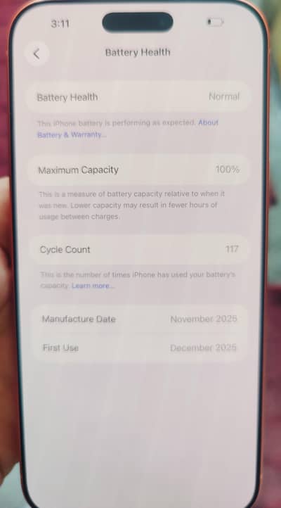 17 pro max 256 gb