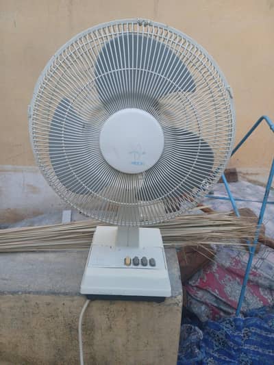 fan for sell