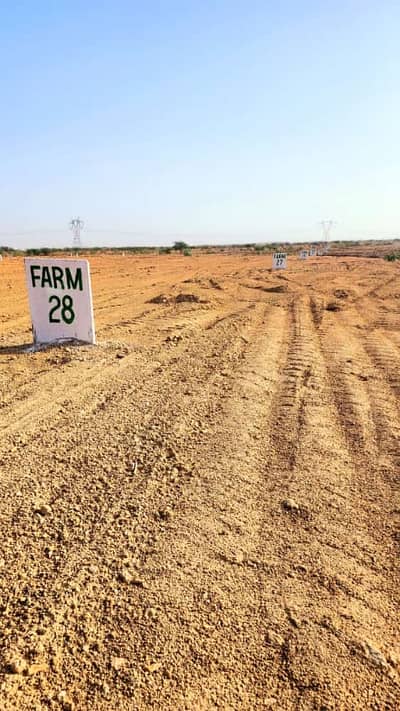 Wali Muhammad Village Land For Sale