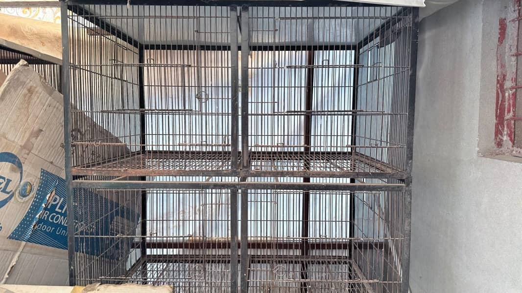 Cages 1