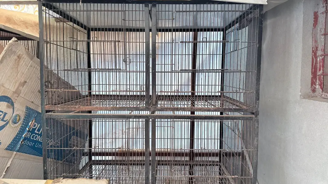 Cages — photo 2