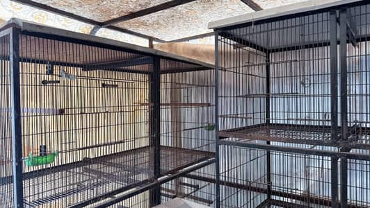 Cages