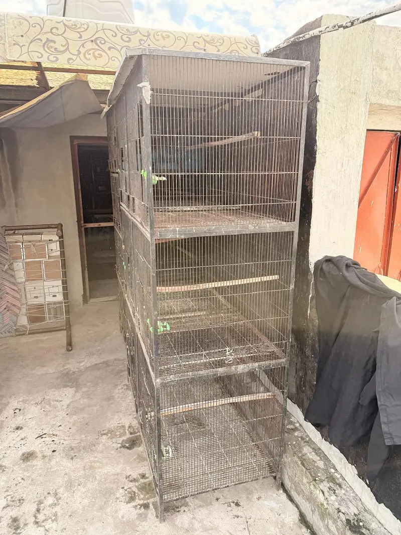 Cages — photo 4